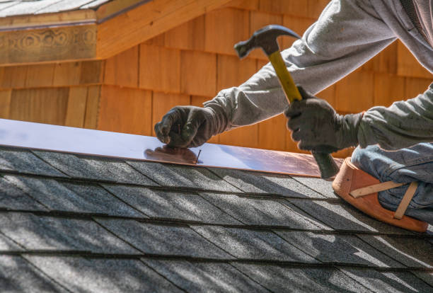 Best Roof Moss and Algae Removal  in Virginia Gardens, FL