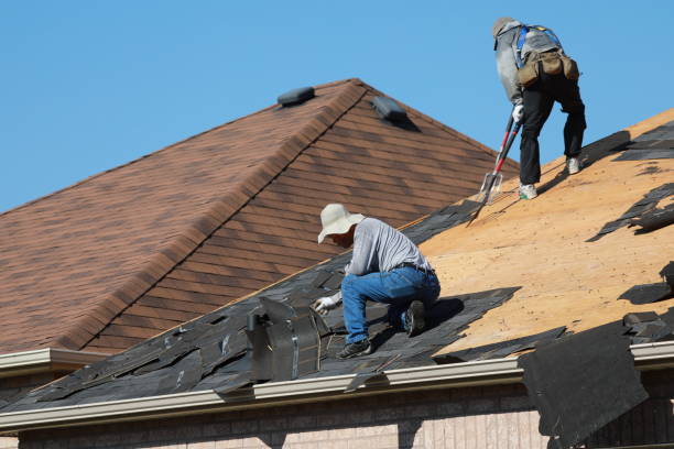 Best Roof Insulation Installation  in Virginia Gardens, FL